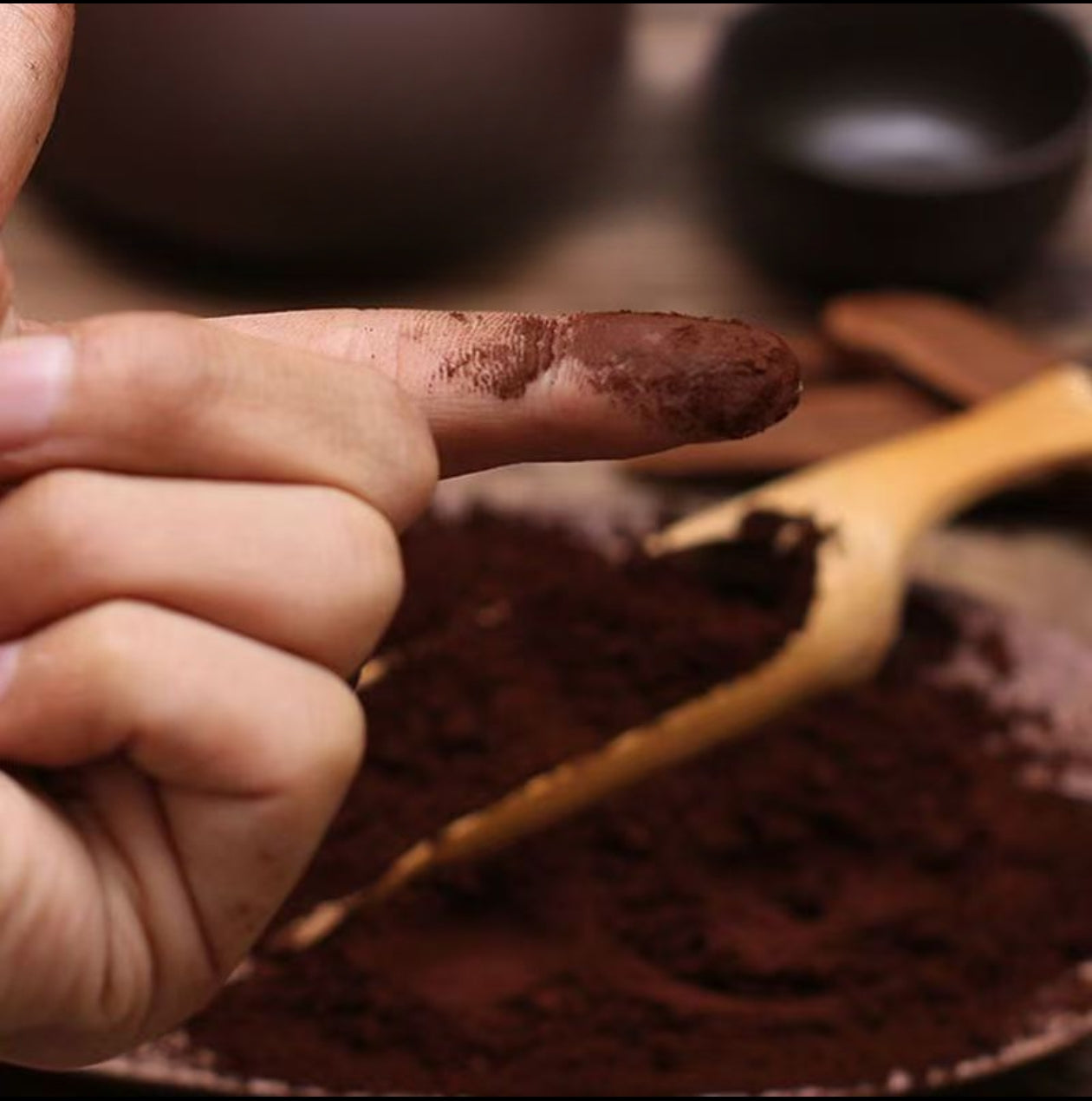 Organic Reishi Mushroom seeds Ganoderma lucidum Spore