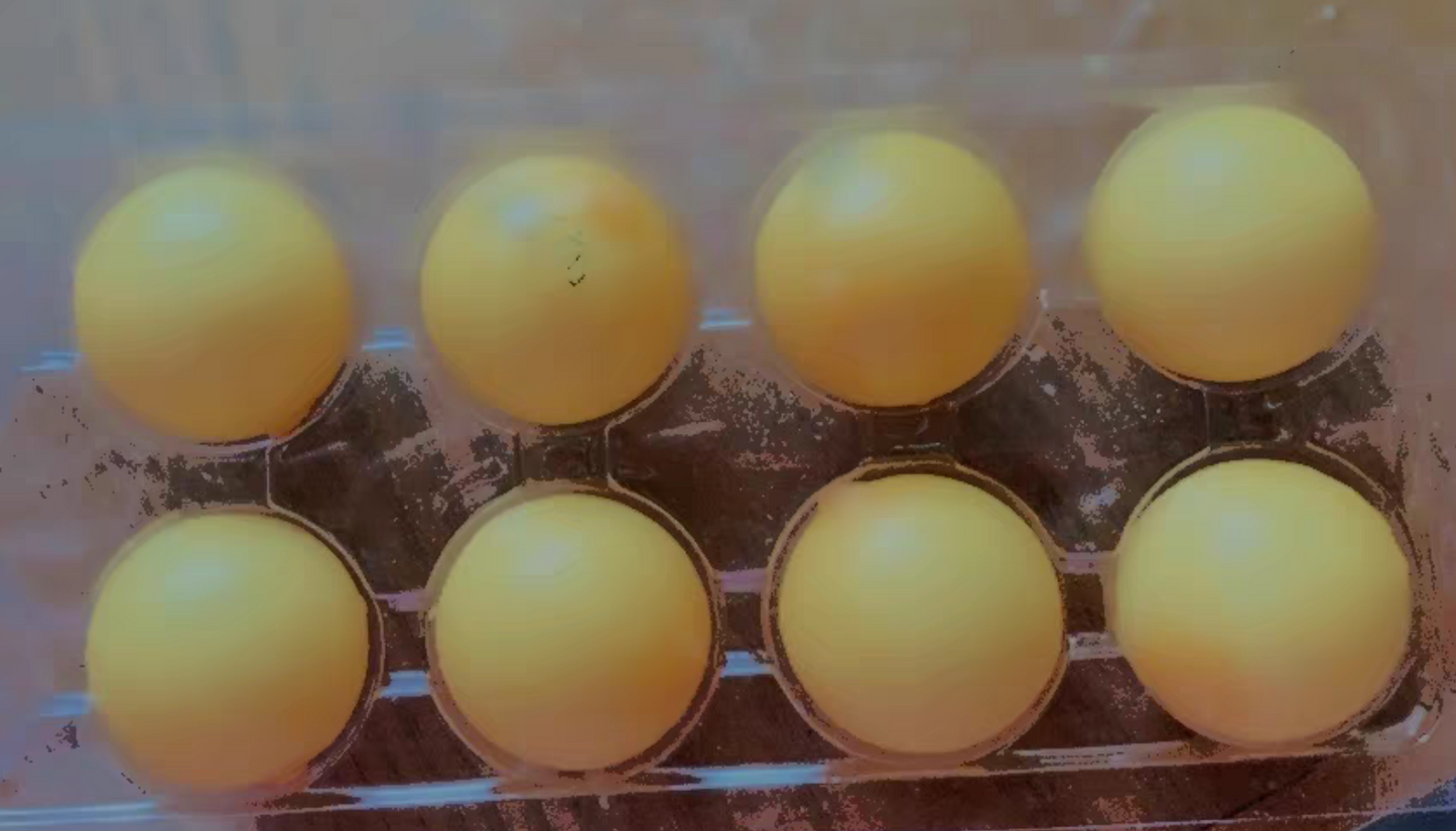 Parasites Virus Bacteria Fungus Six Cartons for 2 Weeks