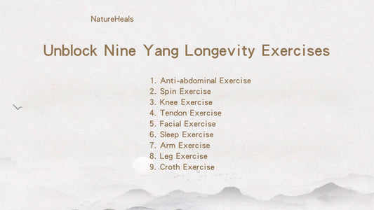 Longevity Exercises for Whole Body Rise up YangChi Unblock Meridians